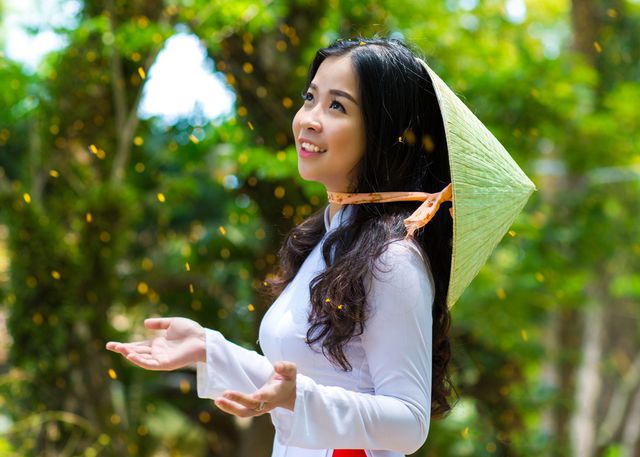 Ngắm[-]hoa[-]sưa[-]nở[-]vàng[-]rực[-]đường[-]phố[-]Tam[-]Kỳ[-]